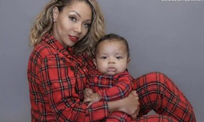 Cashmere Saint Newton: Meaning, Style & Modern Luxury